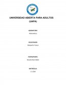 Indaga acerca de los números naturales.