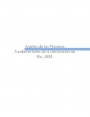 Análisis de los Pincipios Fundamentales de la Declaración de Río, 1992.