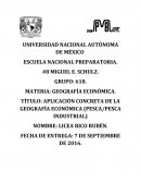 Aplicación de la geografía economica.
