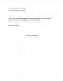 PROYECTO DE TRABAJO, MEJORAMIENTO DE LA IMAGEN E INFRAESTRUCTURA DEL HOSPITAL GENERAL Y CON ELLO LOS SERVICIOS DE SALUD DE LA INSTITUCION..