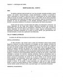 Morfologia del cafe.