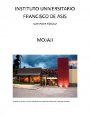 ELABORACIÓN DEL PLAN DE MANTENIMIENTO DEL PSI.