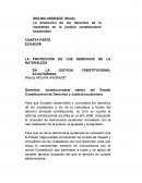 Tema- LA PROTECCIÓN DE LOS DERECHOS DE LA NATURALEZA.