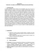 Cubicación de Palo Blanco.