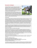 Tema- Introduccion al corretaje.