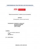 Estudio microeconómico Y analítico de una microempresa