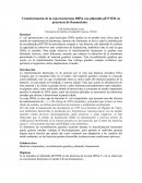 Transformación de la cepa bacteriana DH5a con plásmido pENTER en presencia de Kanamicina