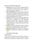 Planificación de la Gestión de los Riesgos: Salidas