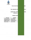 AVANCE DE SISTEMAS DE INFORMACIÓN GERENCIAL