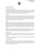 Brief publicitario havana club.