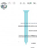 Evaluación de diferentes tipos de podas y su potencial agronómico de tomate indeterminado.