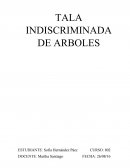 TALA INDISCRIMINADA DE ARBOLES