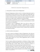 Cadena de restaurantes Hippopotamus.