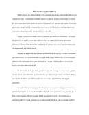 Islas (texto argumentativo)