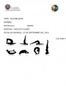 TEMA: FELIXIBILIDAD..