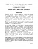 Importancia de analisis de los puestos.