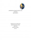 Cadenas y segundos plazos: La historia de la familia Torres