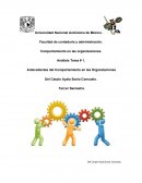 Comportamiento en las organizaciones,