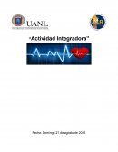 ¿Afecta el ejercicio la frecuencia cardiaca? ¿Qué es la frecuencia cardiaca?
