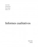 Informes cualitativos. Sophia Rabre
