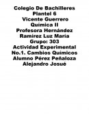 Actividad experimental No. 1. Cambios químicos