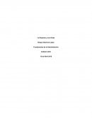 VTR GLOBALCOM S.A Características de la Organización: