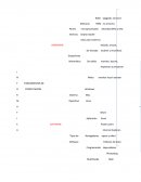 Mapa sinoptico de informatica.