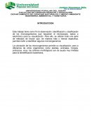 Este trabajo tiene como fin la observación, identificación y clasificación de los microorganismos que requieren el microscopio