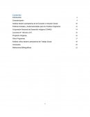 TRABAJO EXCLUSIÓN PUEBLOS ORIGINARIOS EN CHILE.