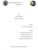 El diario de amelia.