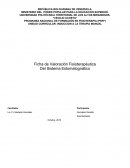 Ficha de valoración en fisioterapia