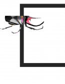 Ensayo Libro Metamorfosis.