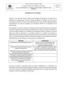 Tema- DESARROLLO DE LA ACTIVIDAD.