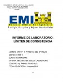 DETERMINACION DEL LÍMITE DE CONSISTENCIA (ASTM D4318)