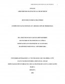 COMPETENCIAS MATEMÁTICAS Y RESOLUCIÓN DE PROBLEMAS.