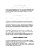 Ciencias fundamentales y tecnologias.