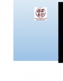 Ensayo manual de redaccion.