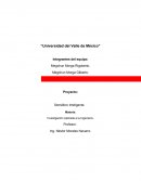 SEMAFORO INTELIGENTE.