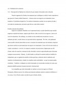 Descripción de Hipótesis de solución (lo que estamos ofreciendo como solución).