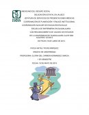 Ensayo de que es universidad.