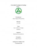 Caso: La Boda en el Campus