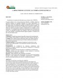 LABORATORIO DE LEYES DE LAS COMBINACIONES QUIMICAS