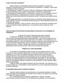 ¿Cómo cree que se aprende?