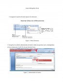 Gestor bibliográfico Word