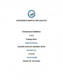 Estructura hotelera TEMA Trabajo final