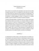 Ensayo final grupos en la escuela