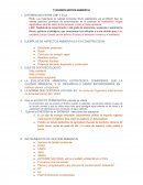 T3 EXAMEN GESTION AMBIENTAL