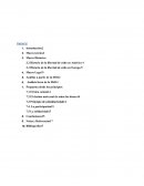 Libertad Religiosa en el Mundo.