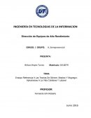 Ensayo Referencia A Las Teorías De Skinner, Maslow Y Mcgregor, Aplicándose A La Vida Cotidiana Y Laboral