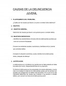 CAUSAS DE LA DELINCUENCIA JUVENIL